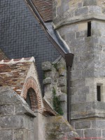 /album/pierre-i/a2012-07-08-villeromain-62-1-jpg1/